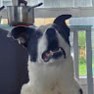 Meet your Posher, Zoe